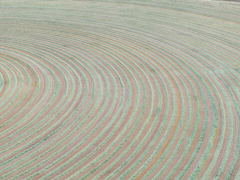 Close-up of circular crop rows in a field