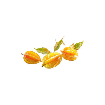 Fresh glossy yellow starfruit with green leaves tropical organic ripe juicy carambola fruit arrangement isolated on white background