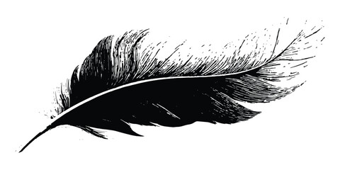 Detailed black bird feather hand drawn silhouette isolated on white background vector illustration. © Artful