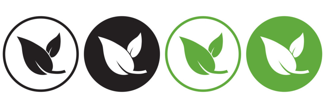 Two leaves icon. Leaf symbol. Nature organic isolated illustration. Vegetarian or vegan label. Green eco logo.