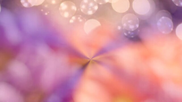 A Vibrant Display of Colorful Flowers with Bokeh Lights in the Background, Creating a Dreamy Atmosphere and Capturing the Beauty of Nature's Blooms