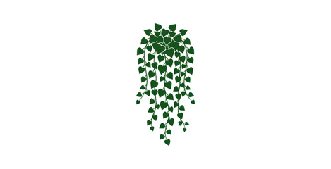 Trailing Ivy Plant Flat Vector Illustration © Sucang