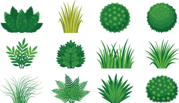 Green Garden Shrub and Ornamental Grass Flat Vector Set Featuring Round Boxwood Bushes Fern Tufts and Field Foliage Elements for Landscape Graphic Designs