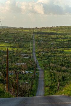 View of a long, straight road stretching through the lush green landscape of Tinian, with power lines and scattered houses in San Jose, Tinian, Northern Mariana Islands.