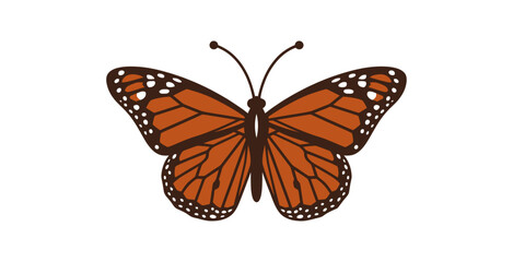 Monarch Butterfly Vector Illustration © mbendo