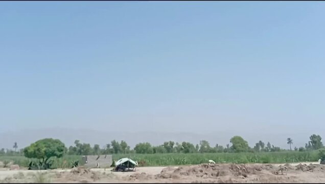 Scenic Agricultural Fields and Rural Countryside in Dera Ismail Khan, Khyber Pakhtunkhwa, Pakistan
