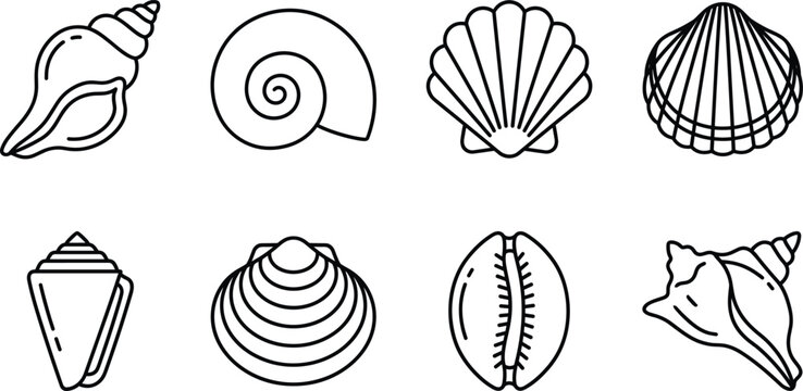 Minimal Seashell Outline Icon Set with Conch Scallop Nautilus and Clam Vector Collection