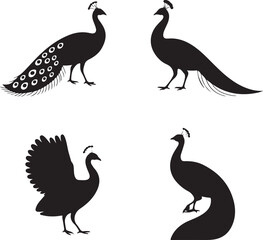 Obraz premium Set of four black silhouettes of peacocks in various poses, including standing with tail feathers and fanned plumage on white background