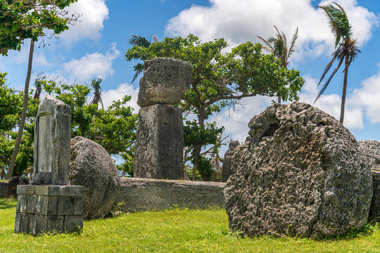 View of the ancient latte stone pillars at the House of Taga archaeological site surrounded by palm trees and grass in San Jose, Tinian, Northern Mariana Islands.