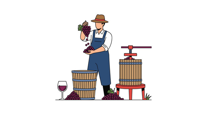 Male winemaker pouring freshly harvested red grapes into a traditional wooden barrel for wine production.