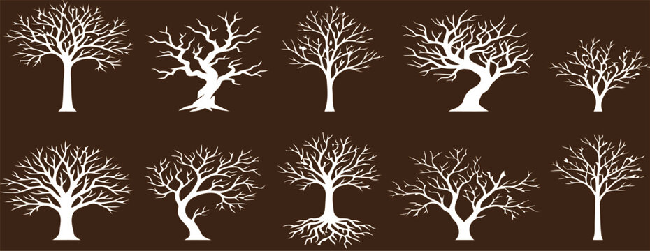 Minimalist black and white illustration of bare trees in sequential growth stages on plain background