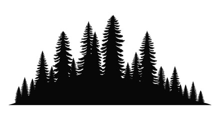 Pine Tree Silhouette Against White Background Coniferous Forest Scene © Munna