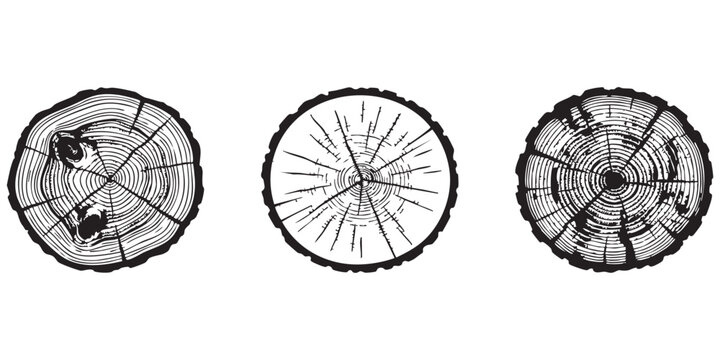 Three black and white tree stump cross section rings illustrations
