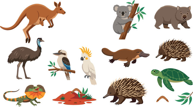 Australian animals vector collection featuring kangaroo, koala, wombat, emu, platypus, echidna, and kookaburra cartoon illustrations isolated on white background.