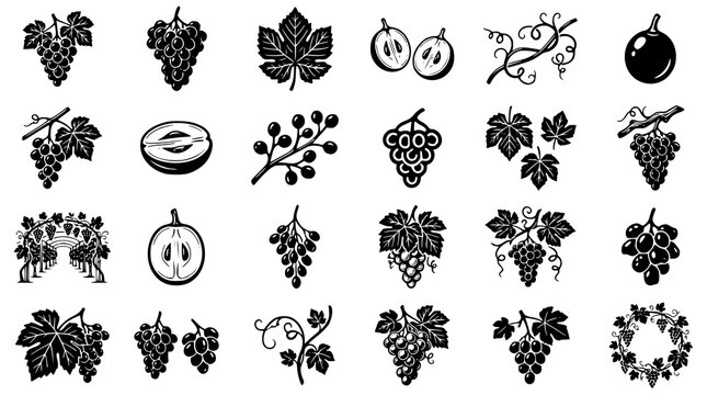 :
Monochrome Grape Botanical Vector Set with Vine Leaves Fresh Fruit and Vineyard Elements