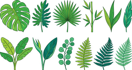 Fototapeta premium Tropical Leaf Vector Illustration Set Featuring Monstera Palm Fern Bamboo Banana and Eucalyptus Foliage Graphic Elements Isolated on White Background