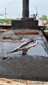 Fresh catfish prepared on traditional outdoor metal stove before rustic cooking process begins