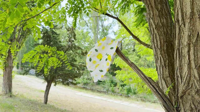 A cheerful lemon-print hat hangs from a tree branch in a sunny park in Simferopol, Crimea. This whimsical sight brings a lighthearted and refreshing summer feeling to the quiet outdoor scene.