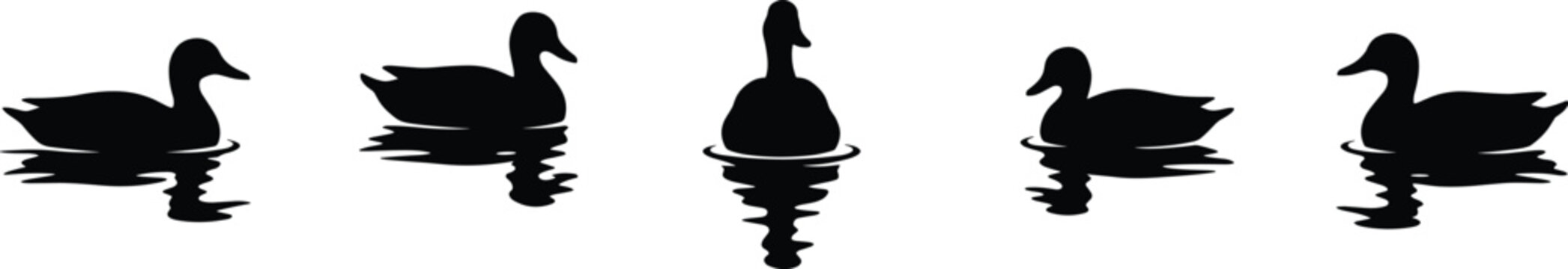 silhouette of ducks swimming in water, wild mallard waterfowl birds group floating, lake pond nature wildlife, illustration image