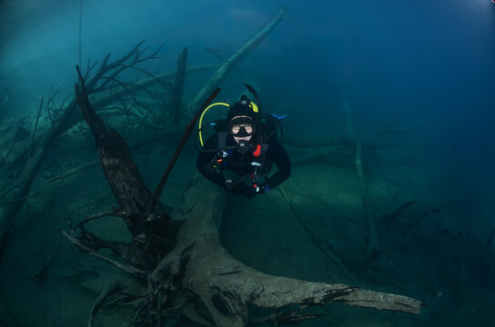 Buceo en un bosque bajo el agua.
