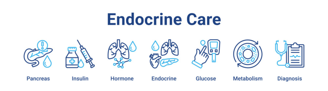 Endocrine Care web banner icon vector illustration concept for medical with icon of Pancreas, Insulin, Hormone, Endocrine, Glucose.