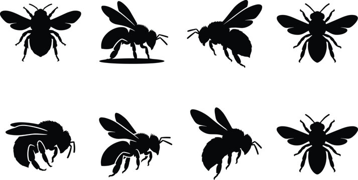 Collection of bee silhouette illustrations showing diverse insect poses and wing structures on white background