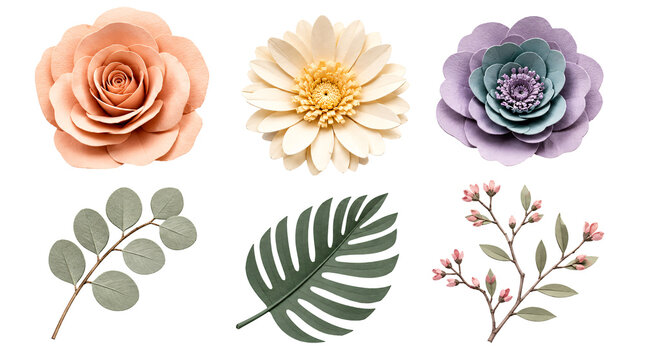 Paper flowers and eucalyptus leaves isolated on transparent.