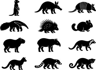 Variety of wild mammal silhouettes including exotic wildlife animals with wild life, exotic animal © BD 