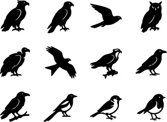Fototapeta premium Collection of various bird species and raptors silhouette vector set with silhouette, wildlife