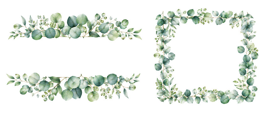 Watercolor eucalyptus leaves collection, green foliage frames and borders.