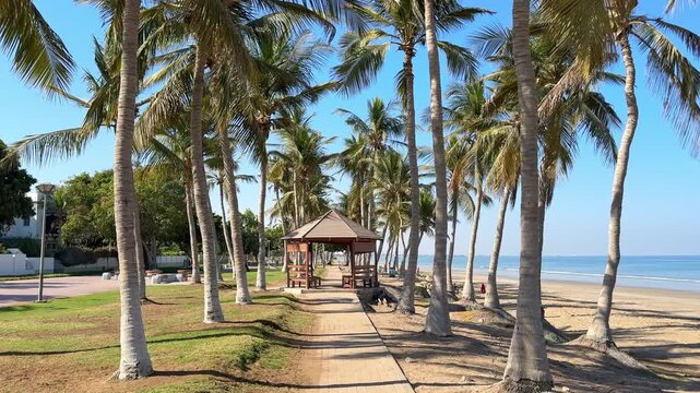 Peaceful beach landscape with palm trees and shaded gazebo at Al Qurum Beach in Muscat Oman under sunny tropical conditions