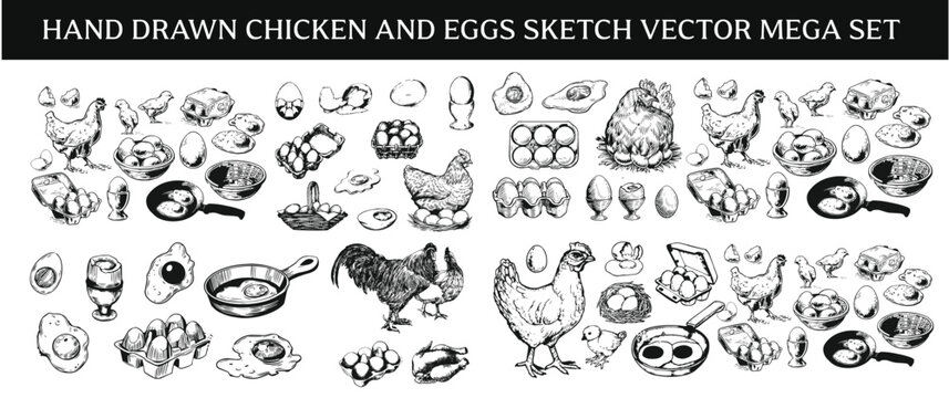 Hand drawn chicken and eggs sketch vector mega set, vintage engraving line art poultry farm icons collection, cute rooster, hen on nest, and fried egg clipart isolated on white background.
