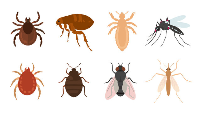 Vector set of parasitic insects and household pest icons