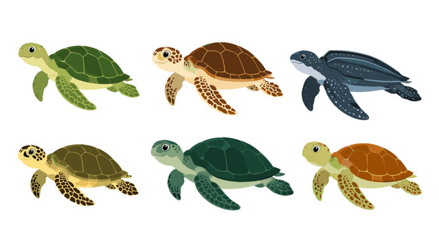 Set of six cartoon sea turtles isolated on white background