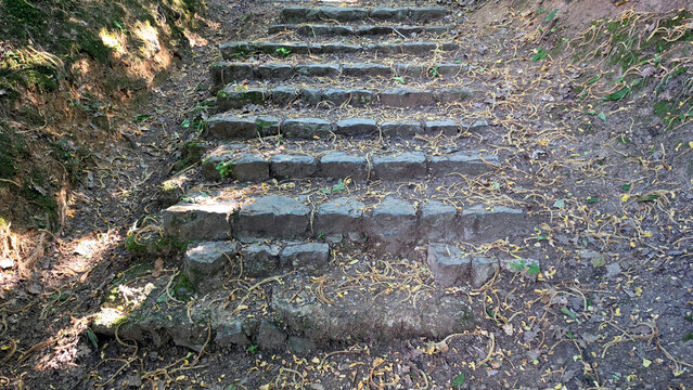 Rustic stone block stairs ascending a narrow dirt ravine path in the woods