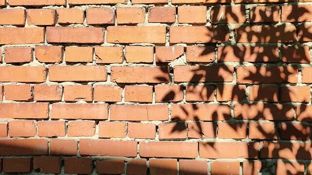Red brick wall with tree branch shadow. Textured masonry surface with natural light pattern. Architectural background for design, exterior and construction concept.