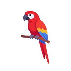 Macaw parrot perched on a branch with curved beak, long pointed tail, gripping feet, and layered wing feathers, tropical bird for jungle and wildlife design, colorful illustration © point of BORT