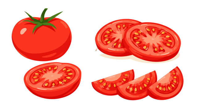 Whole tomato with slices and wedges isolated vector set