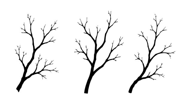 Set of bare tree branch silhouettes isolated on white