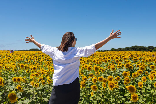 Woman with outstretched arms in sunflower field feeling freedom