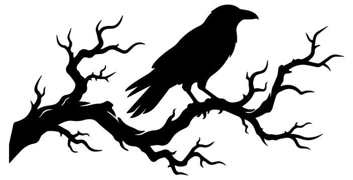 Raven perched on leafless gnarled branch silhouette.