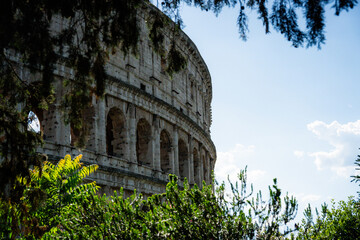 Obraz premium Ancient Roman Colosseum Through Green Trees
