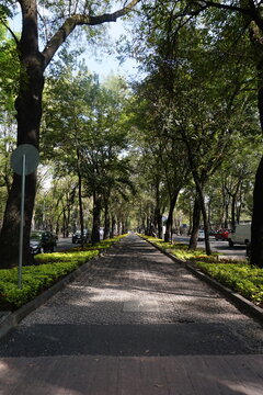 Walking path in Polanco Mexico City