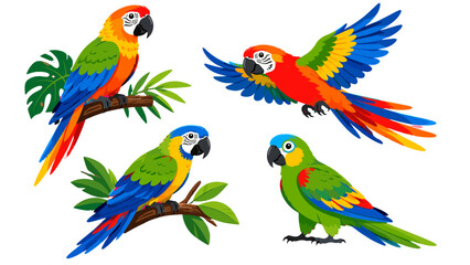 Colorful parrot collection with tropical birds and branches © Andrei