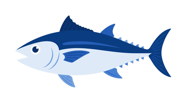 Blue tuna fish vector illustration isolated on white background