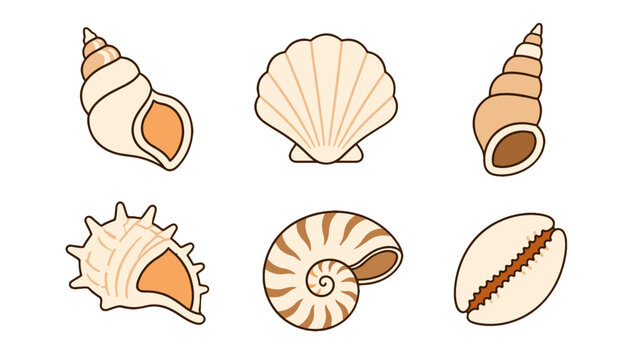 Set of seashell icons on white background