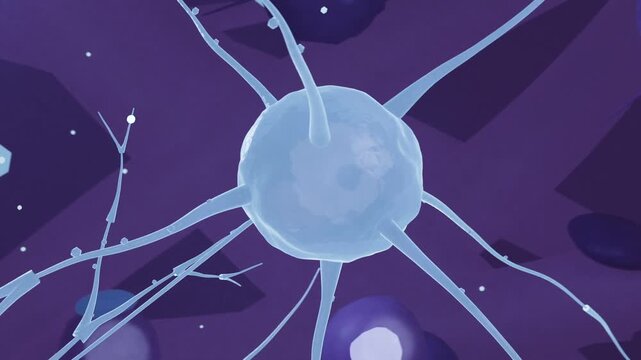 Rotating neural soma flexing neurites in neural space while camera shifting, showing nodules