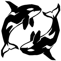Silhouette of a pair of orcas © Breck