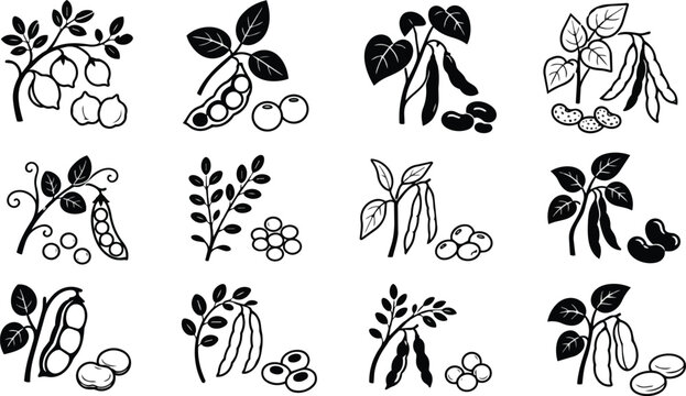 Diverse healthy black white vector legume bean pea icons set