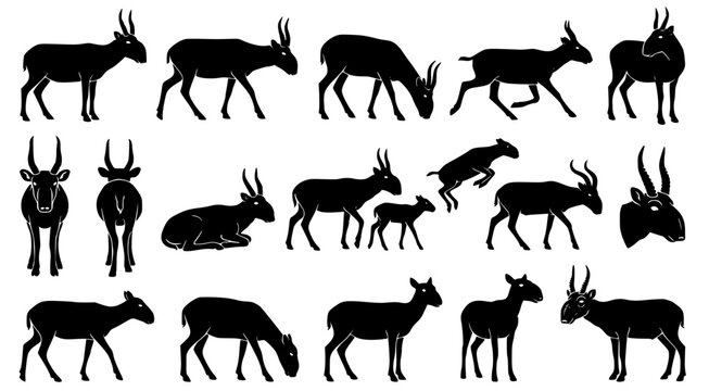 Professional collection of saiga antelope silhouettes showcasing diverse postures and anatomical profiles in solid black vector shapes suitable for branding and wildlife educational graphic designs